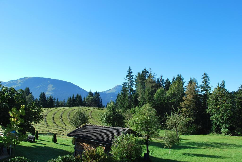 Berggasthof Baernstatt Scheffau am Wilden Kaiser Luaran gambar